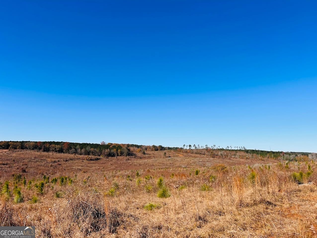 0 Jaye Rd, Ellaville, GA 31806