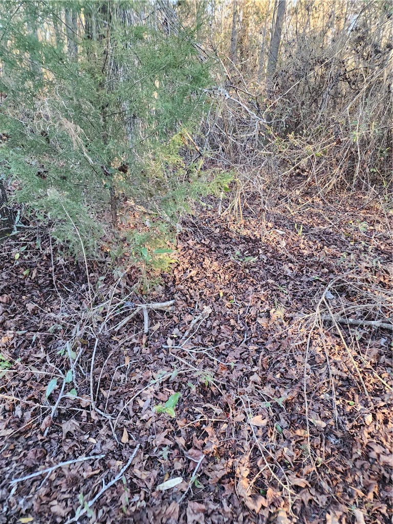 1598 Lee Road 39, Opelika, AL, 36804