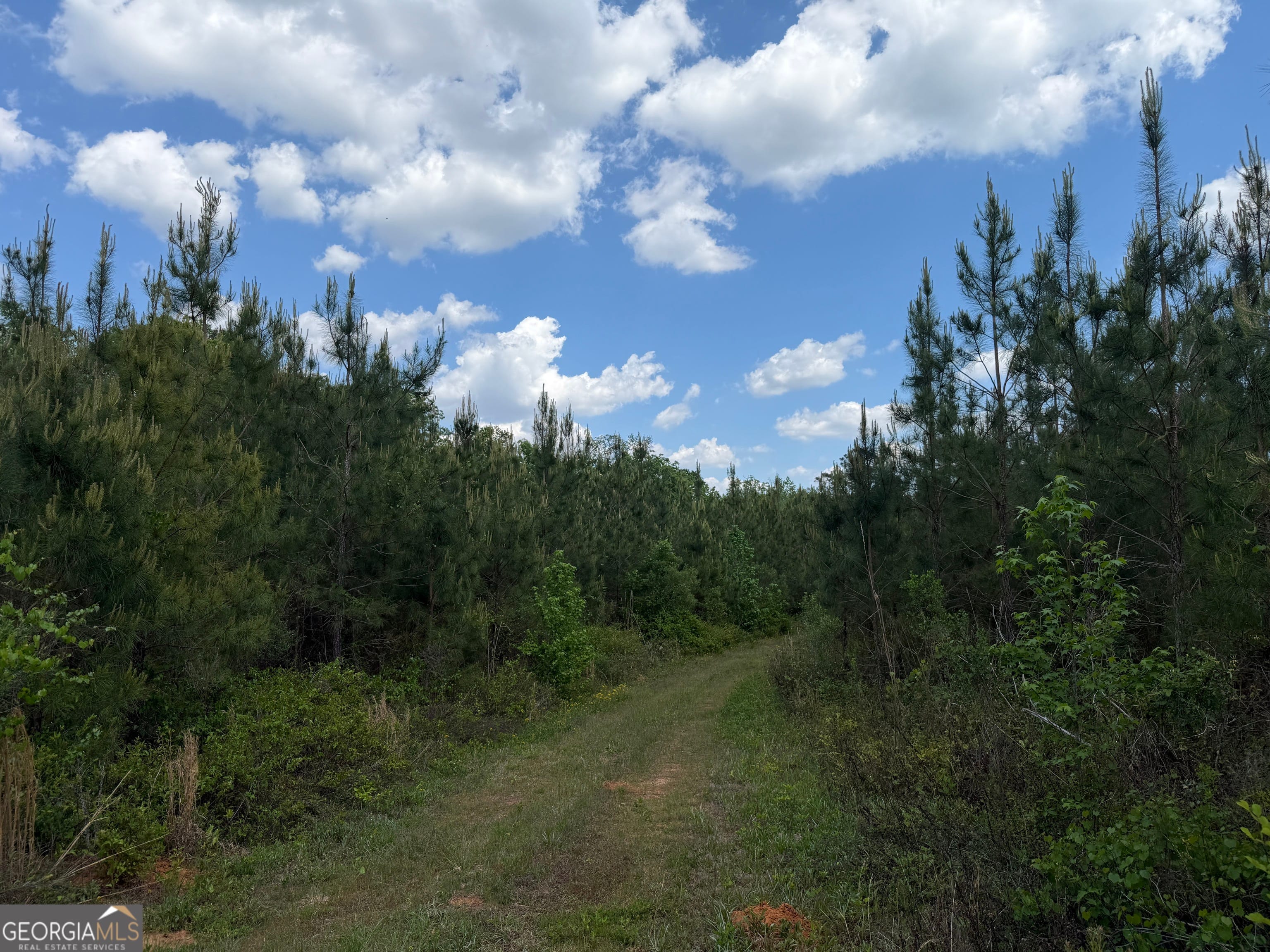 5 George Milling Rd, Cuthbert, GA 39840