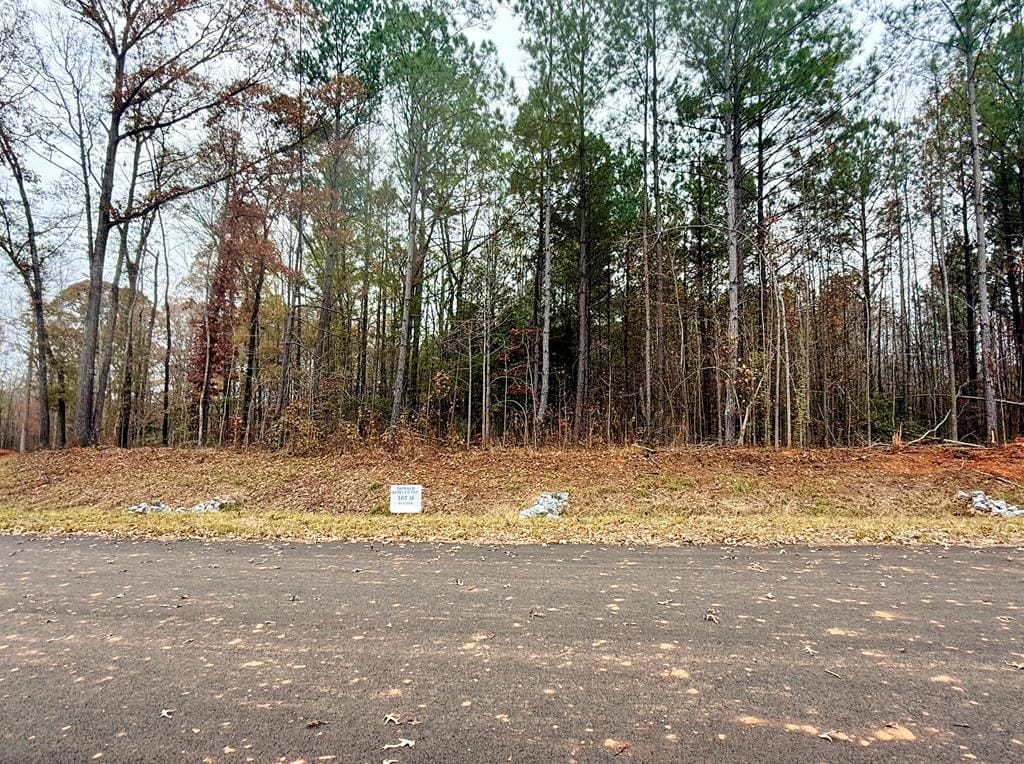 20 Rolling Meadows Way, Waverly Hall, GA, 31831