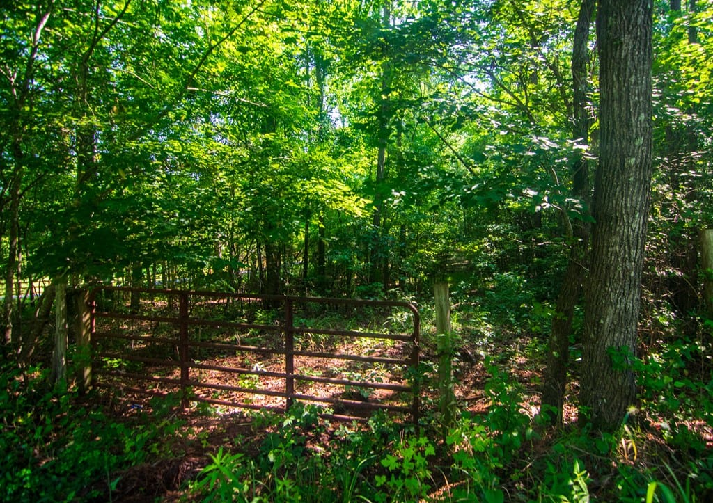 0 Baker Road, Shiloh, GA, 31826
