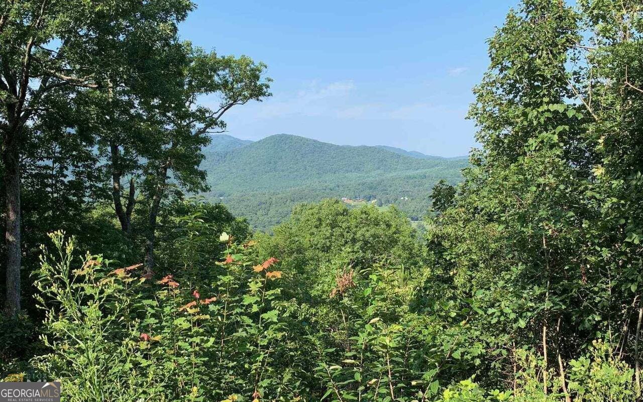 LOT 7 Golden Oak Estates, Warne, NC, 28909