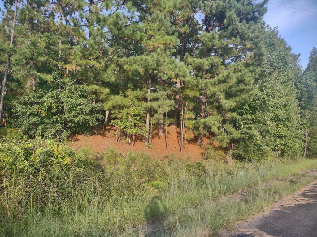 0 Butler Highway, Junction City, GA, 31812 — Photo 3