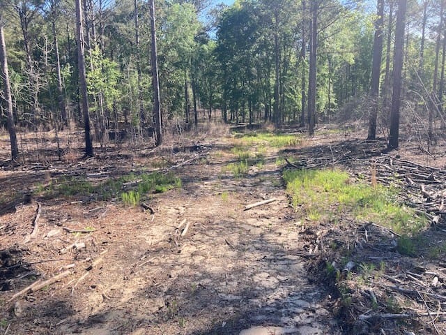 Tract 1 Alvaton Road, Gay, GA, 30218