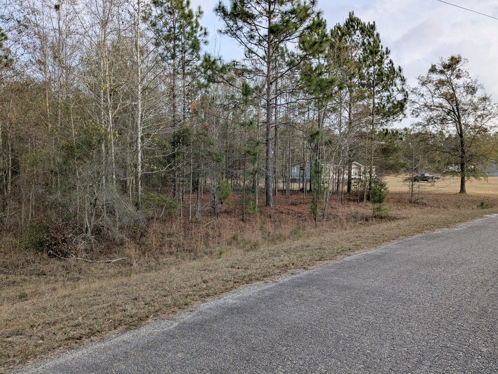 123 Case Rd, Sylvester, GA 31791, USA — Photo 3