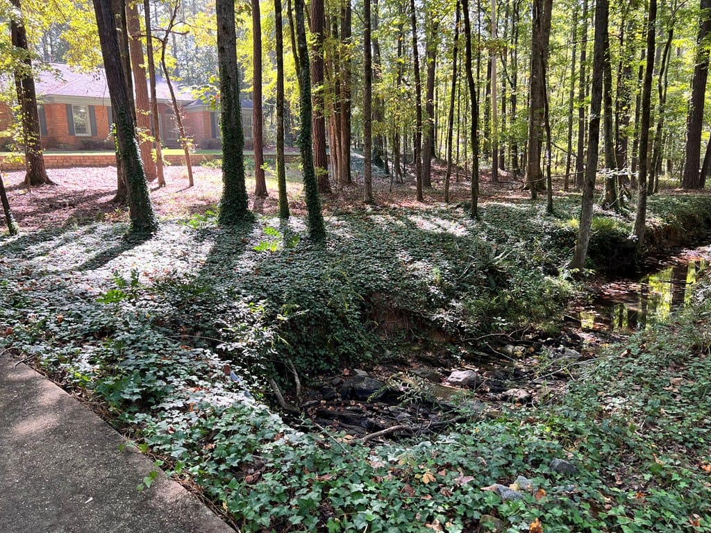 488 Bluebird Trail, Fortson, GA, 31808 — Photo 3