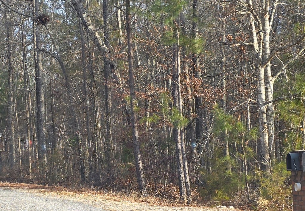 0 Lee Rd #0143, Salem, AL 36874, USA — Photo 3