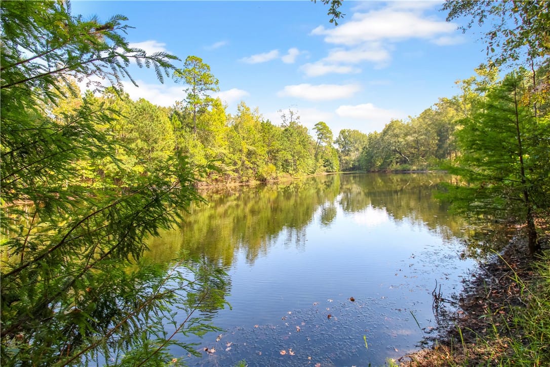 1004 LEE ROAD 157, Opelika, AL, 36804 — Photo 2