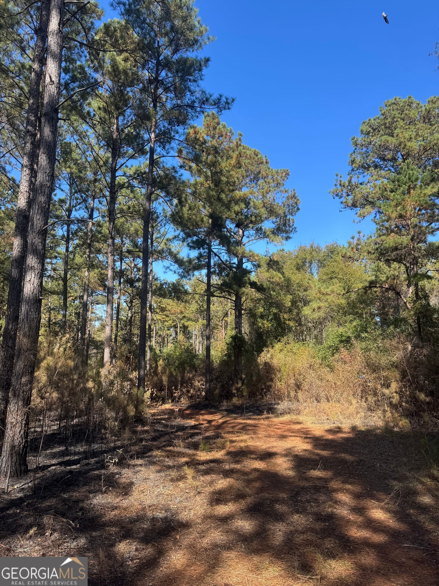 131 W Drummond Rd, West Point, GA 31833