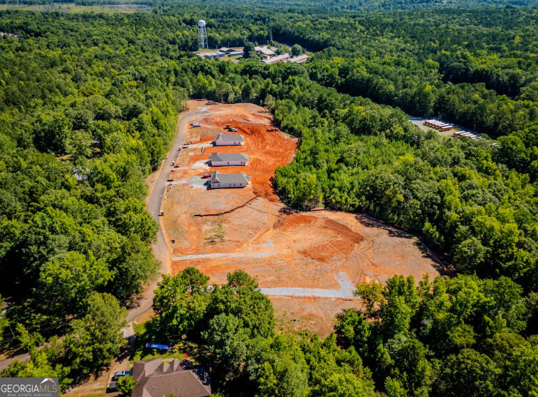 LOT 16 Young, Hamilton, GA, 31811
