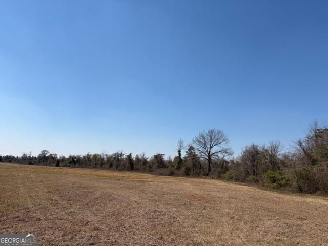 461 Henry Currington Rd, Mauk, GA 31058