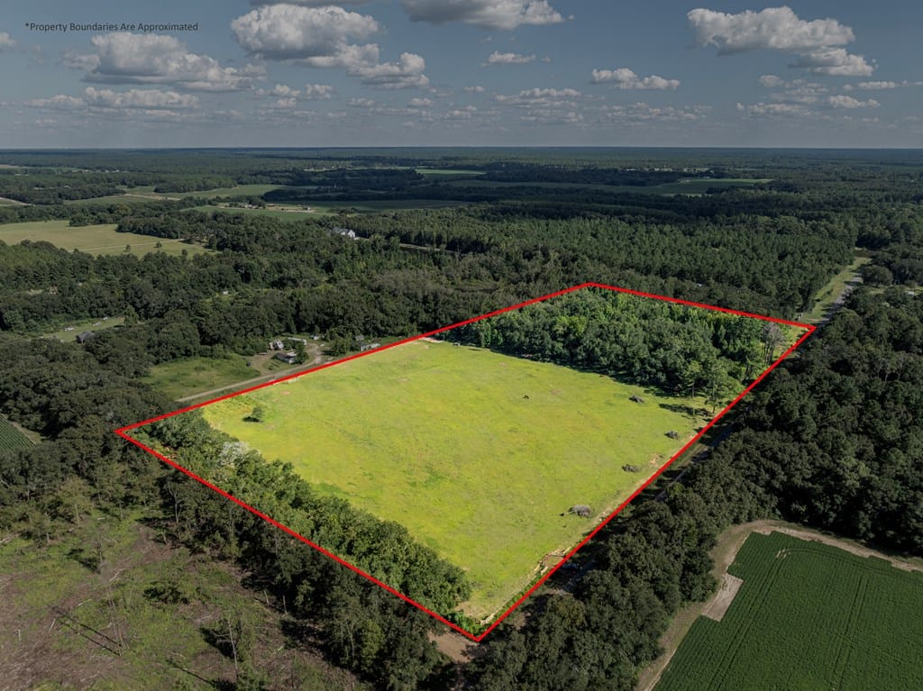 408 Peafowl Road, Sylvester, GA, 31791 — Photo 2