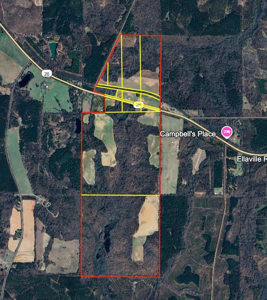 4130 Ga Highway 0026, Buena Vista, GA, 31803 — Photo 2