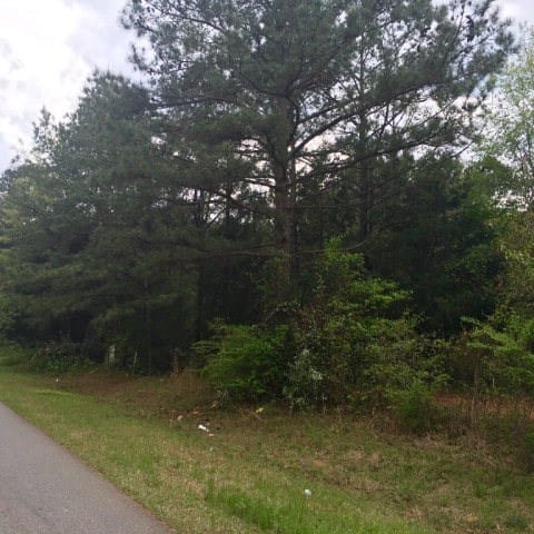 Lot 1 Valley Rescue Mission Road, Hamilton, GA, 31811