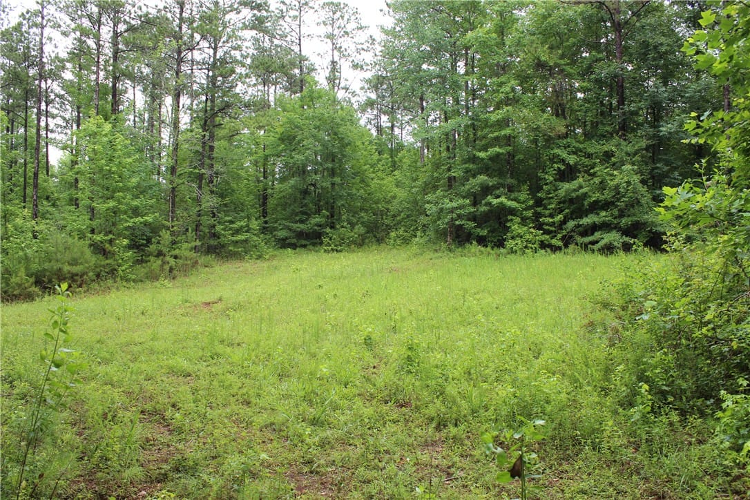 Address Not Disclosed, Goodwater, AL, 35072, A verdant clearing awaits, surrounded by a natural