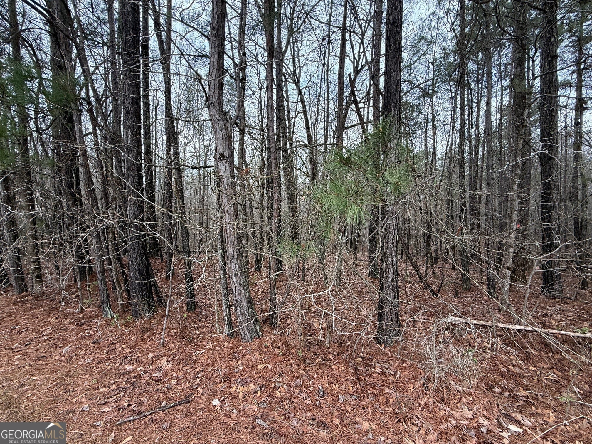 0 Cheryl Street #lots 37,38,39, Luthersville, GA, 30251