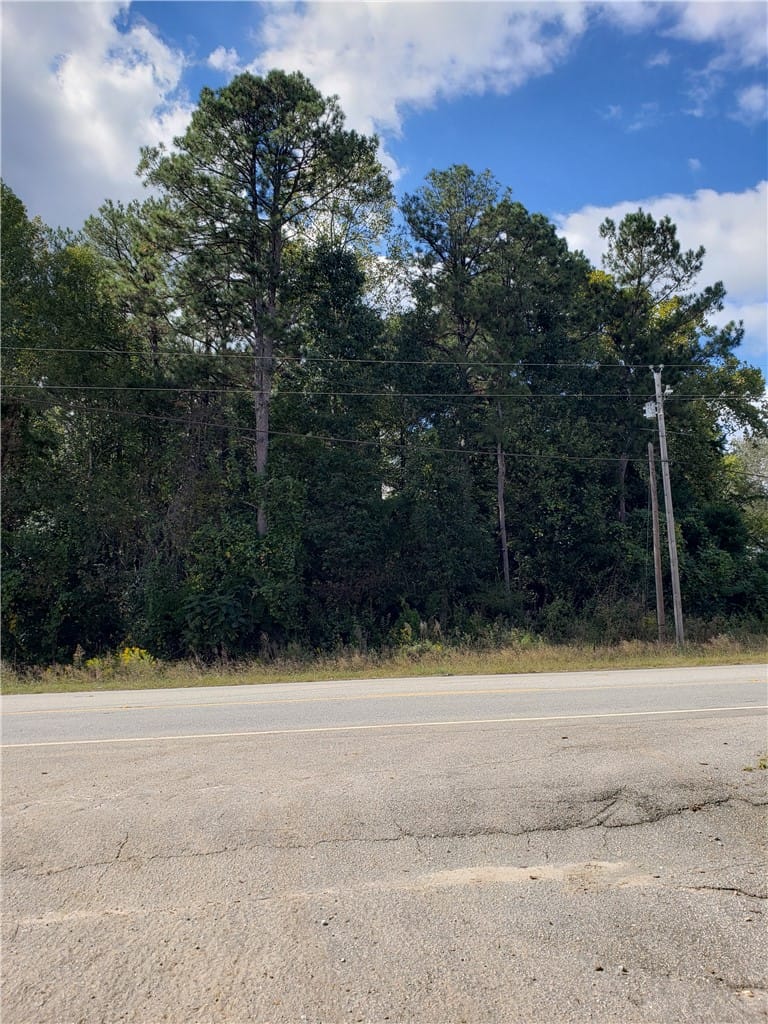 2412 Lafayette Pkwy, Opelika, AL 36801