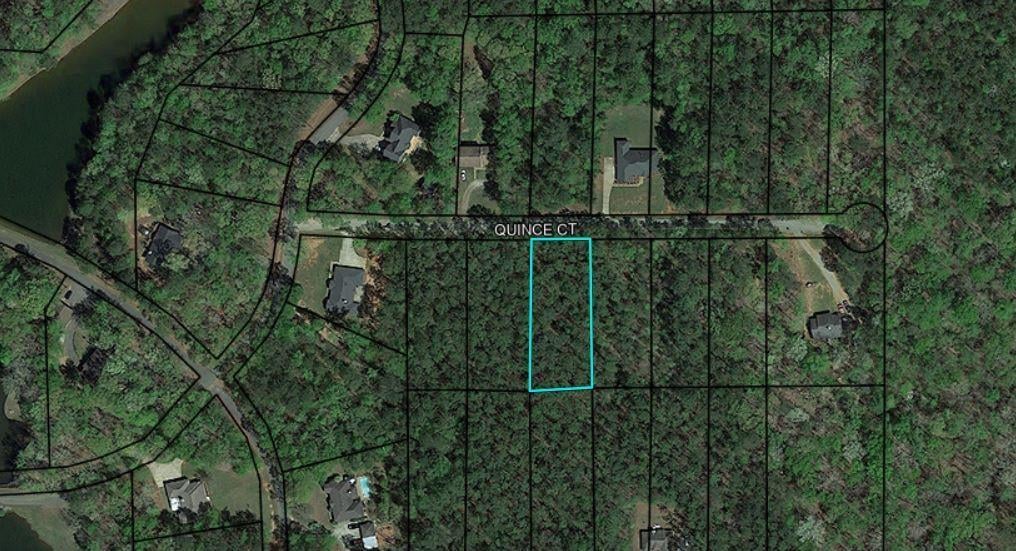 BLK 14 LOT 6 Quince Court, Waverly Hall, GA, 31831
