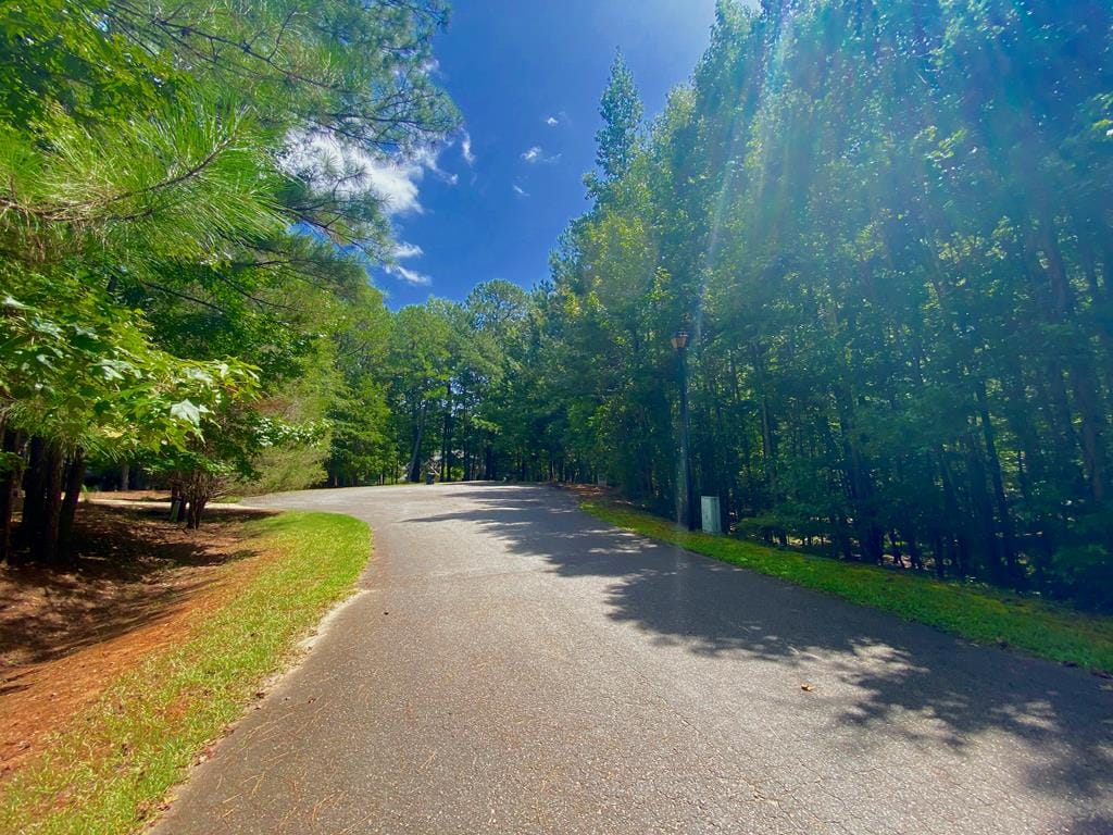 Lot 28 Buckeye Loop North, Midland, GA, 31820