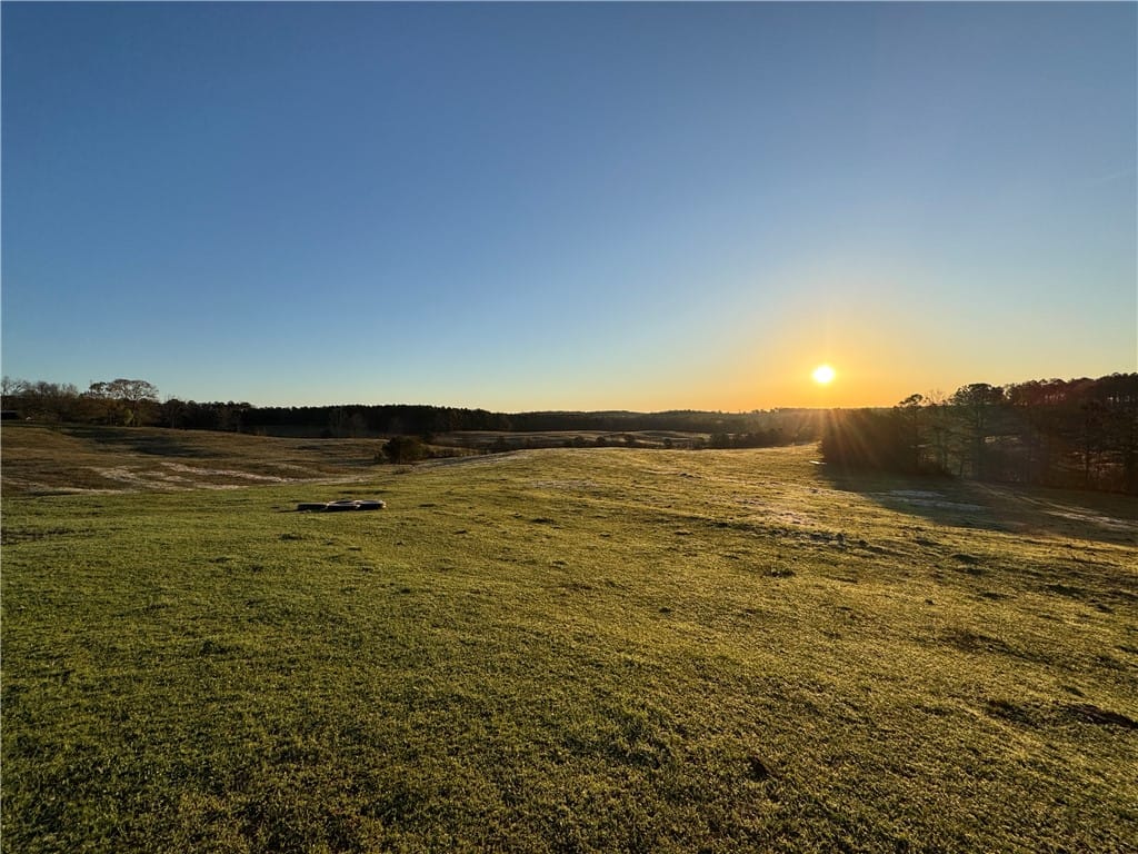 1160 AL HIGHWAY 77, Roanoke, AL, 36274 — Photo 3