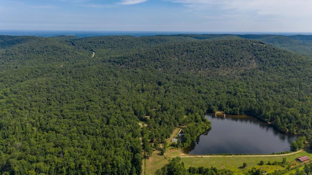 829 Trammell Mill Road, Shiloh, GA, 31826