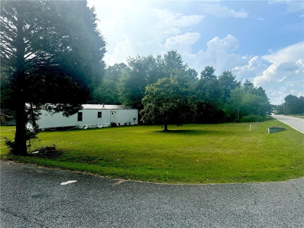 4 palomino, Phenix City, AL, 36869