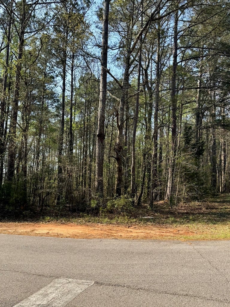 0 Leisure Circle, Pine Mountain, GA, 31822 — Photo 3