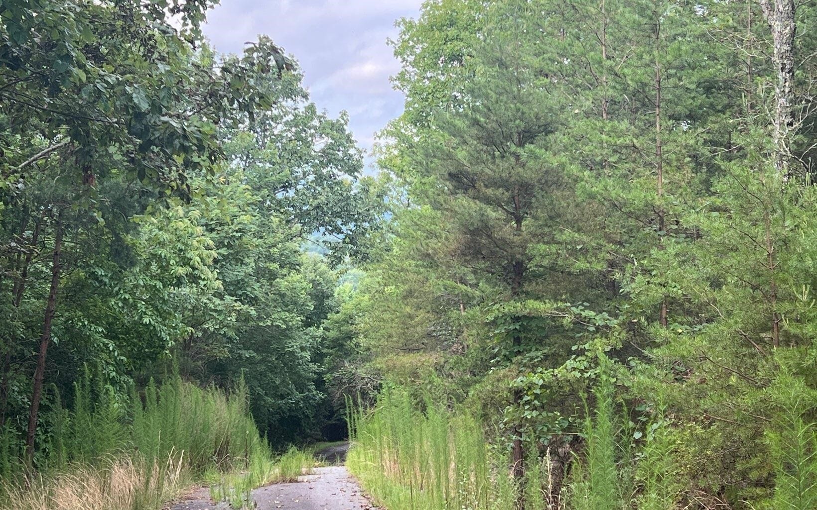 LOT 8 Preserve At Beach Mountain, Brasstown, NC, 28902
