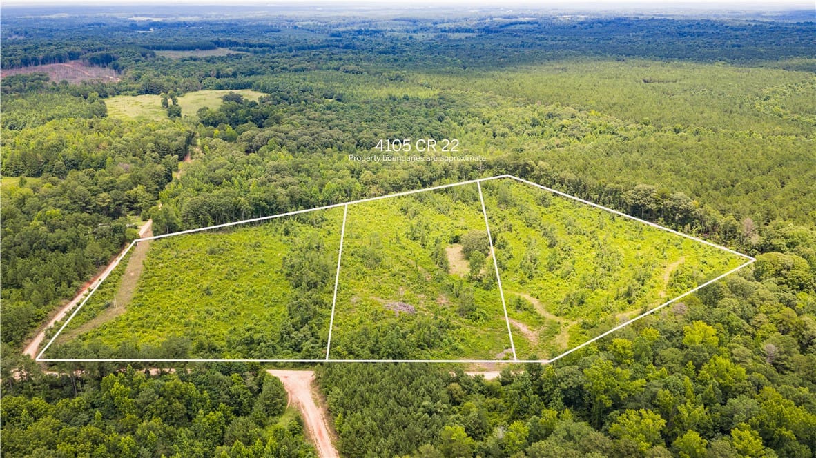 4105 COUNTY ROAD 22, Waverly, AL, 36879
