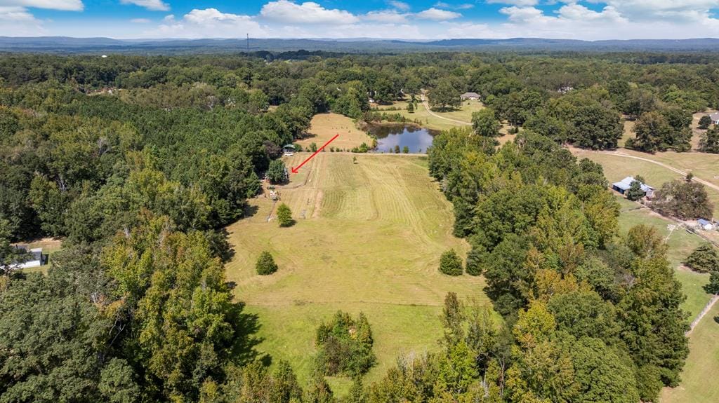 8064 Ga Highway 0208, Waverly Hall, GA, 31831 — Photo 3