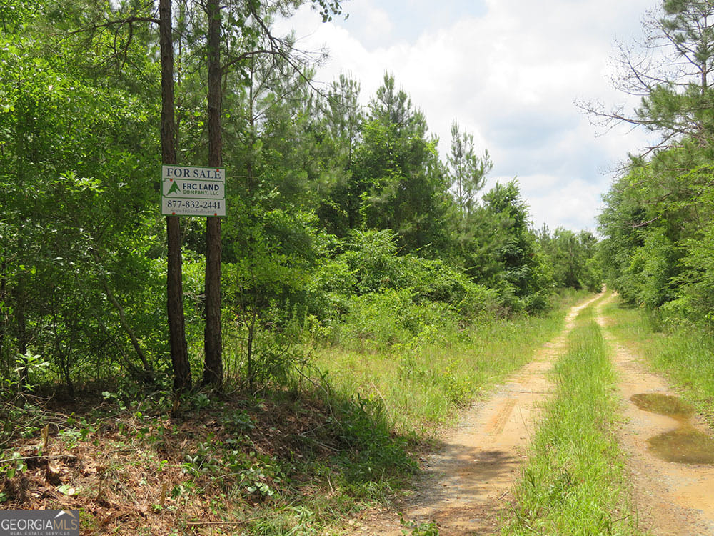 0 Louise Bell, Lumpkin, GA, 31815