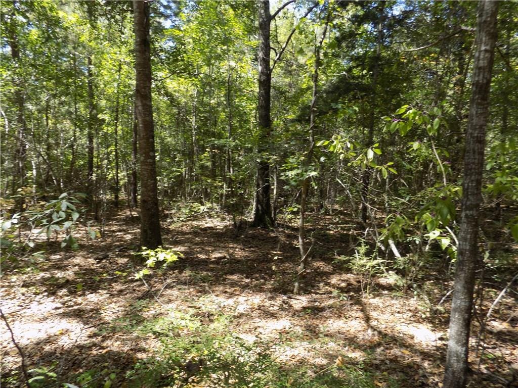 Lot 3 Macon County Road 24, Auburn, AL, 36830 — Photo 2