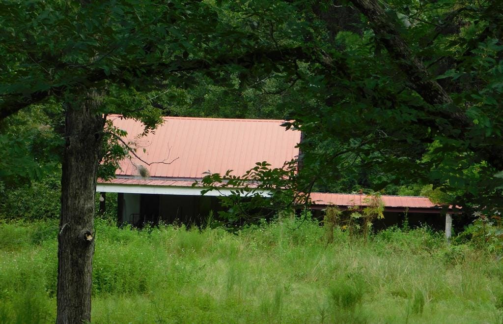 0 County Line Road, Pelham, GA, 31779