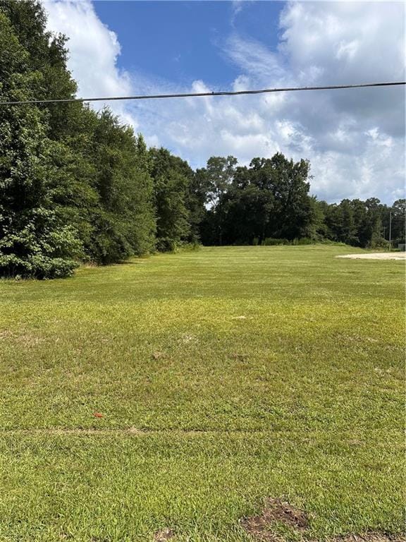 0 Hwy 165, Fort Mitchell, AL, 36856