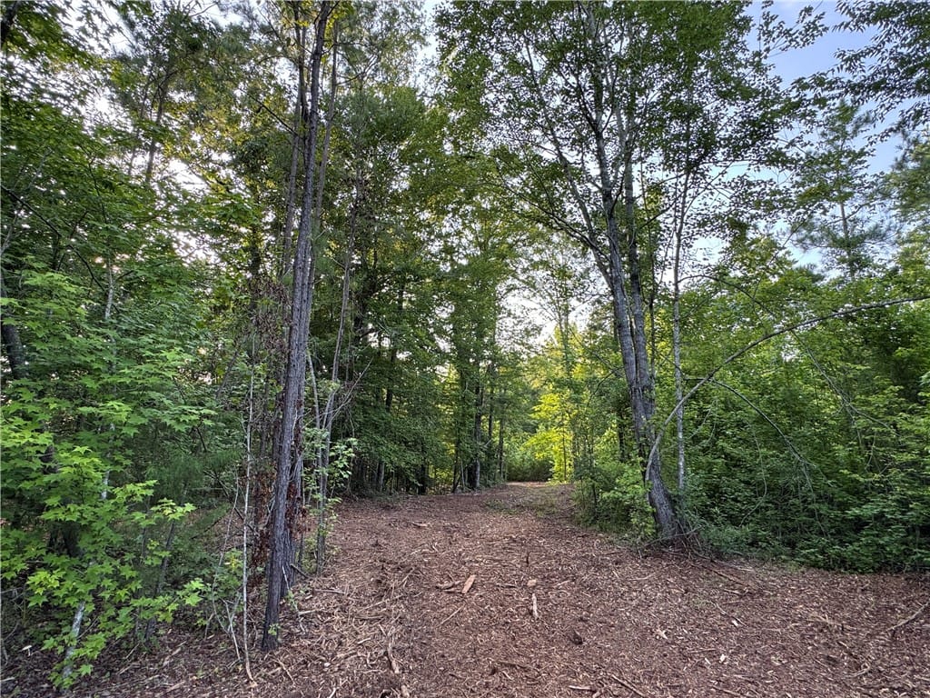 0 TALLAPOOSA, Camp Hill, AL, 36850 — Photo 3