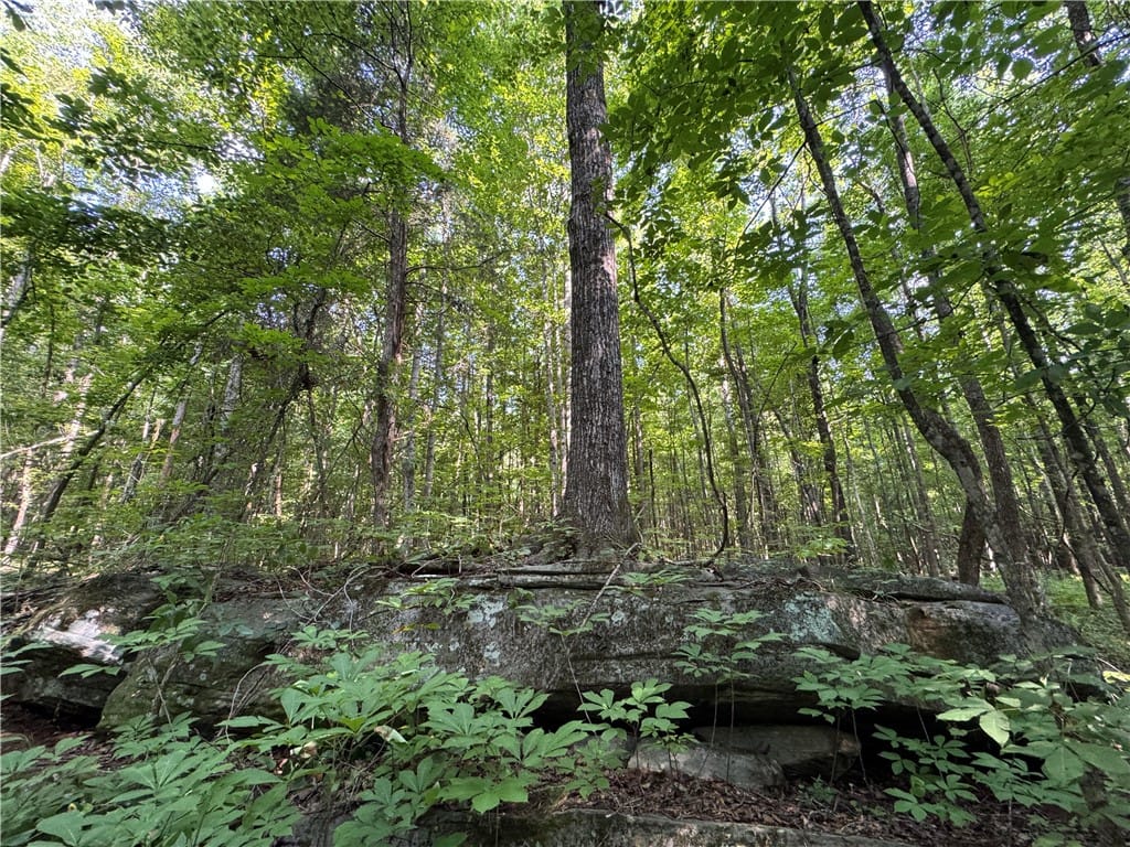 3850 COUNTY ROAD 70, Camp Hill, AL, 36850