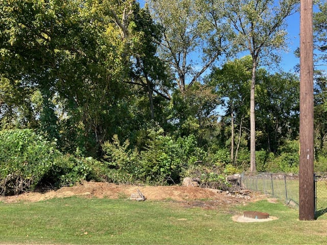 0 Monroe Avenue, Opelika, AL, 36801 — Photo 3