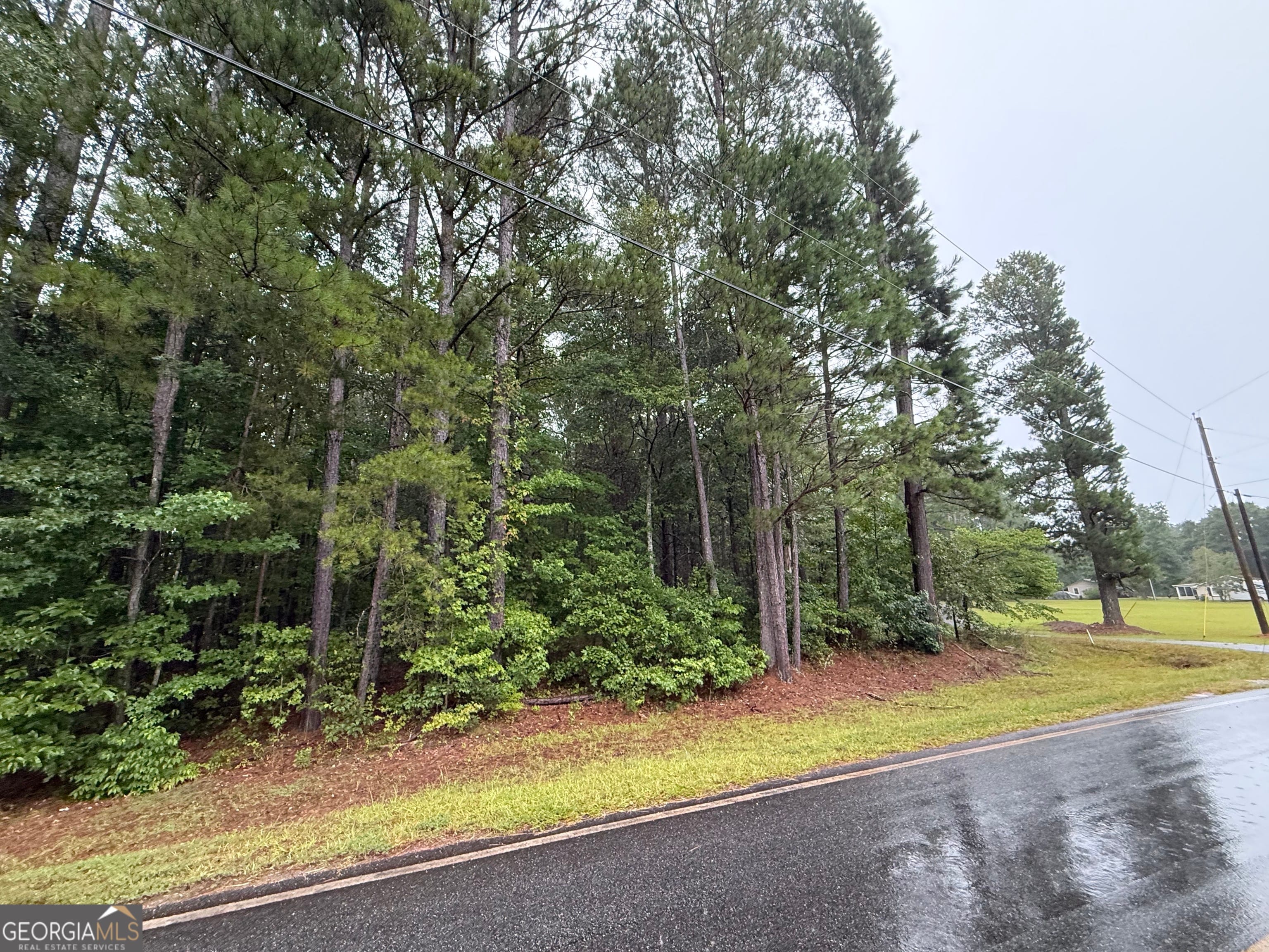 0 Lee Thompson, Moreland, GA, 30259