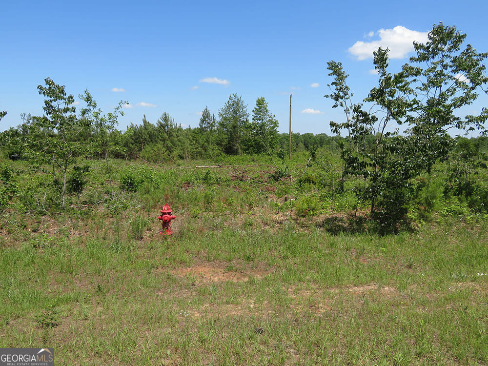 0 Ebenezer Road, Ellaville, GA, 31806