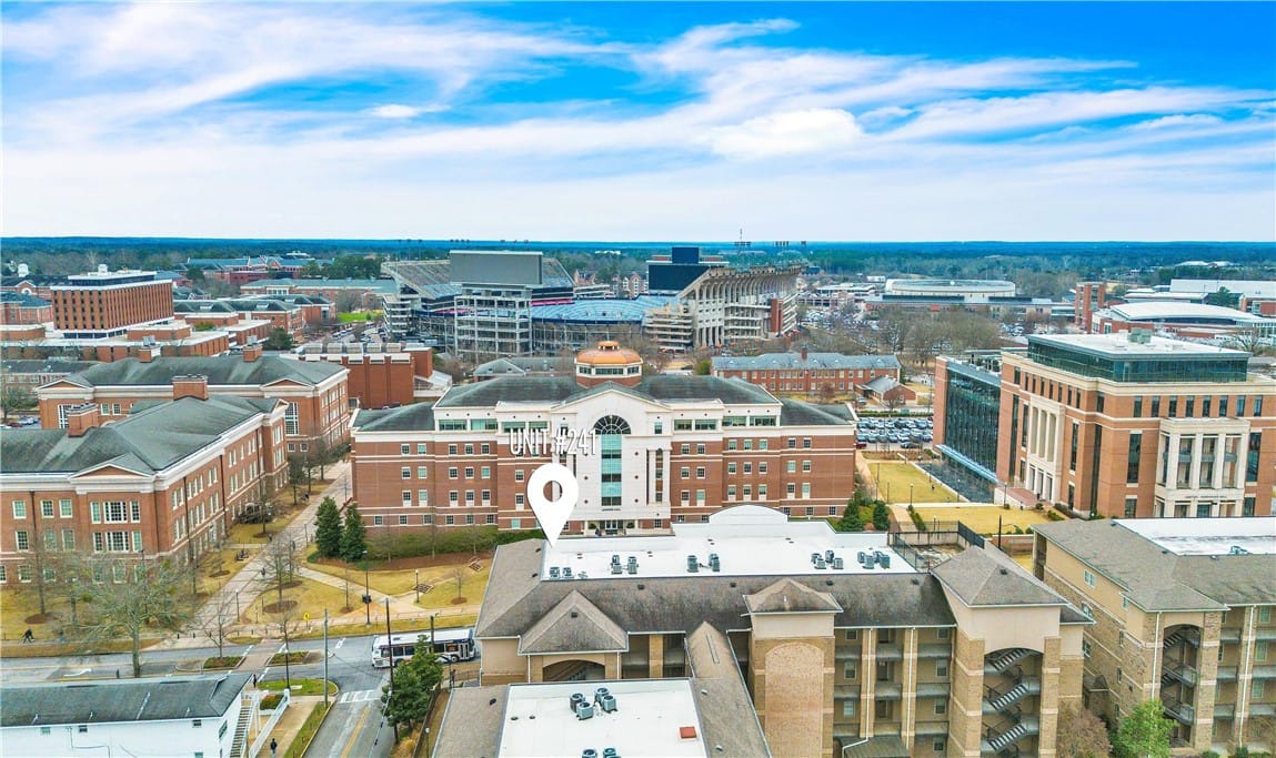 402 West Magnolia Avenue #Apt 241, Auburn, AL, 36832