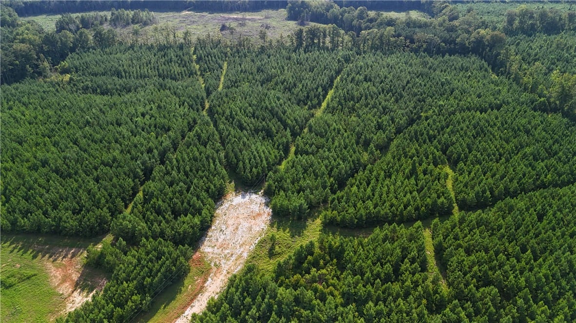 0 Berry Lane, Dadeville, AL, 36853