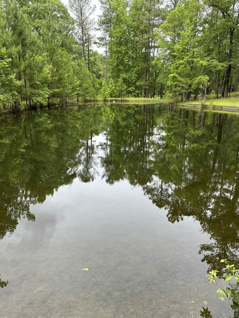 12200 County Line Road, Midland, GA, 31820-4508 — Photo 3