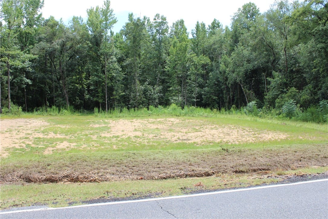 0 LEE ROAD 126, Salem, AL, 36874