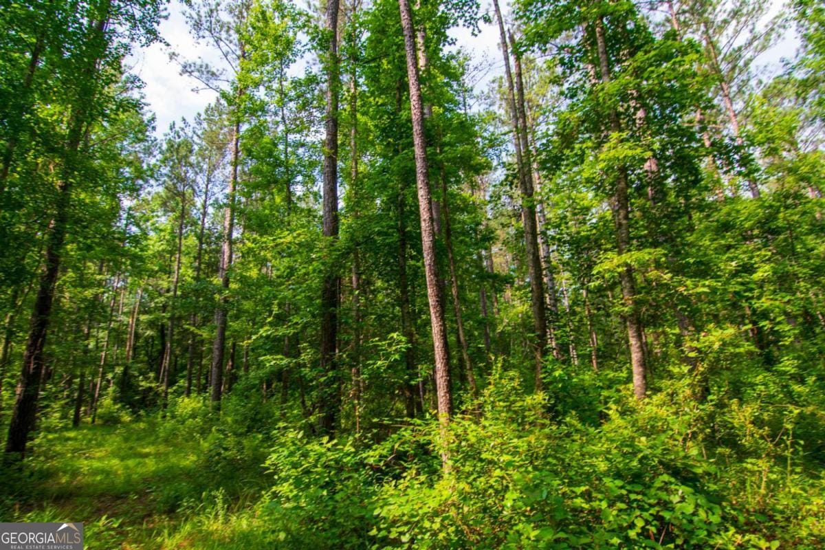 0 County Road 0071, Waverly Hall, GA, 31831