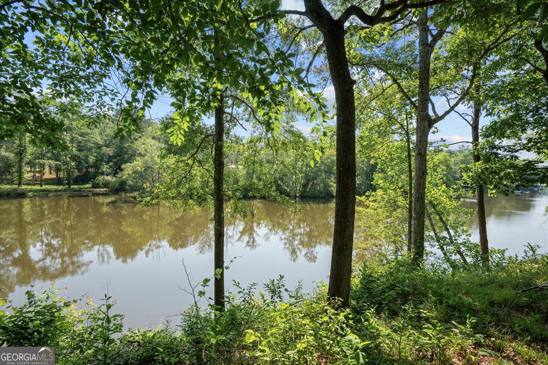 1461 County Road 499, Woodland, AL, 36280