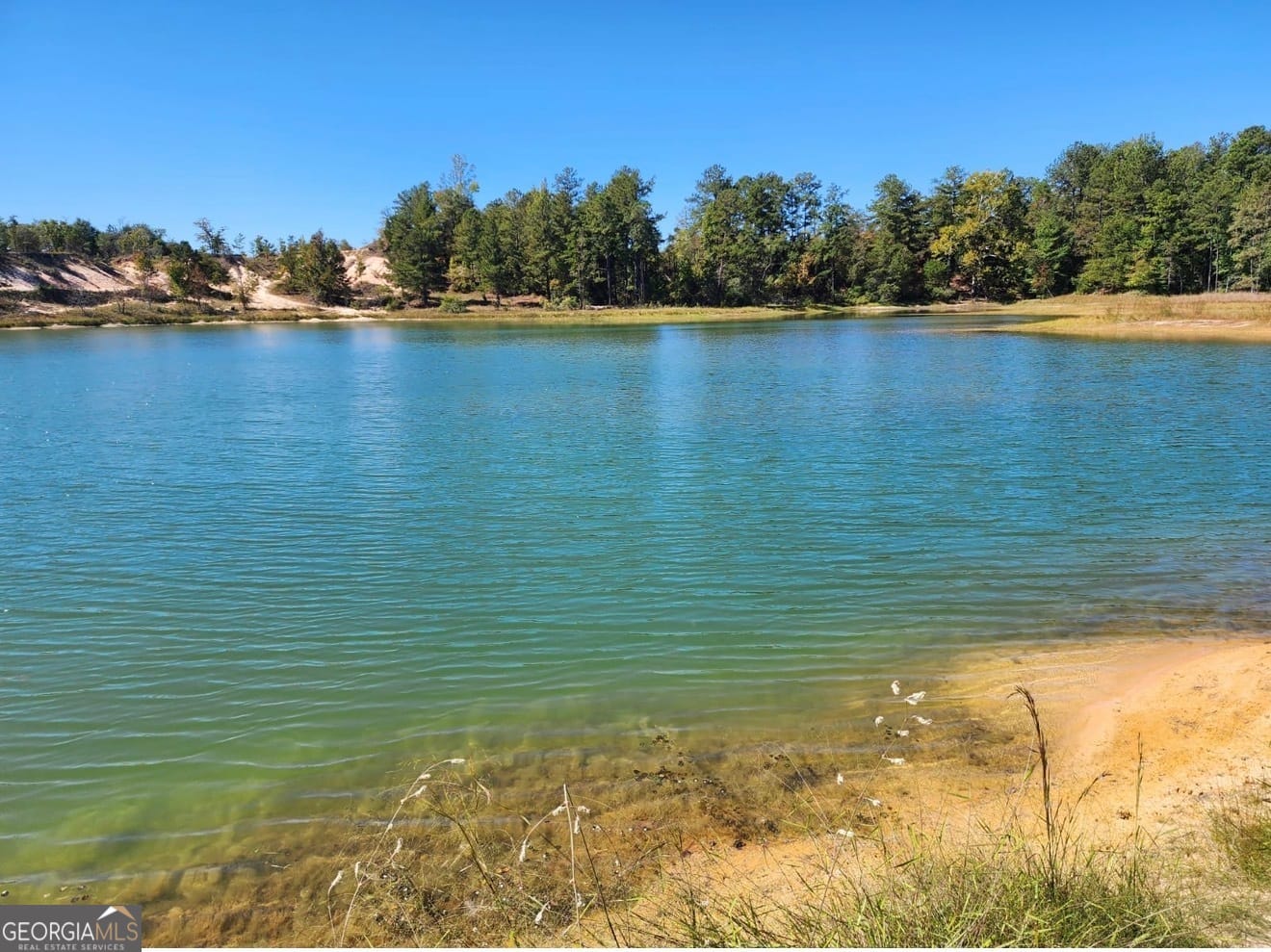 0 Howard Neal Road, Junction City, GA, 31812