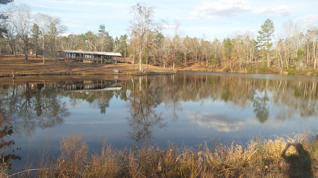 4994 Highway 0137, Buena Vista, GA, 31803