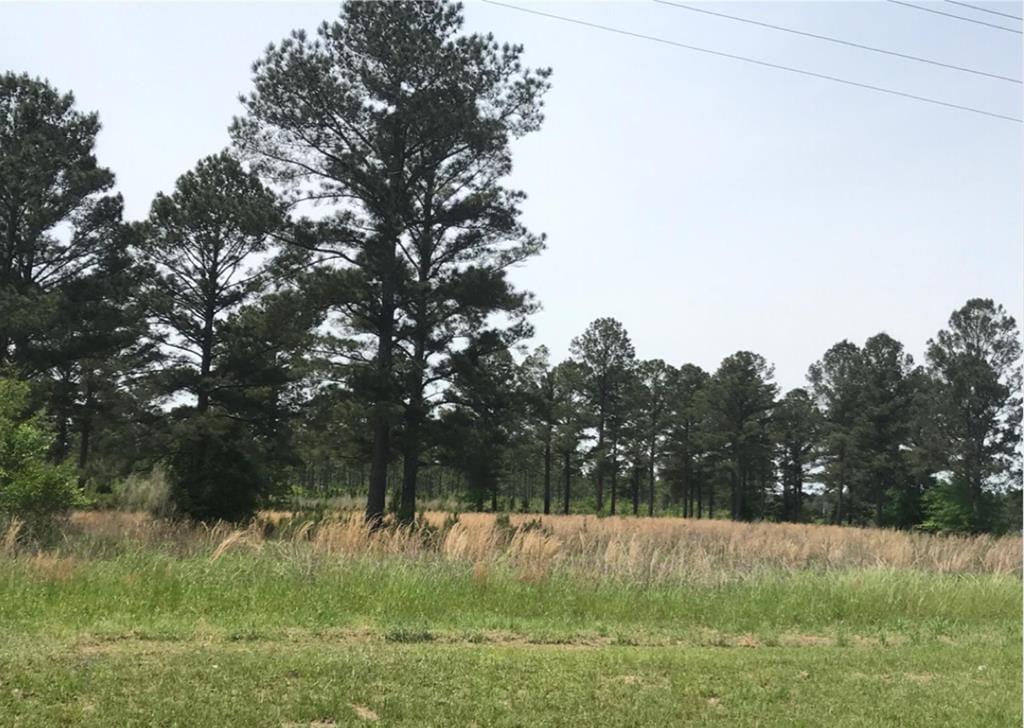 985 Georgia 32, Leesburg, GA, 31763