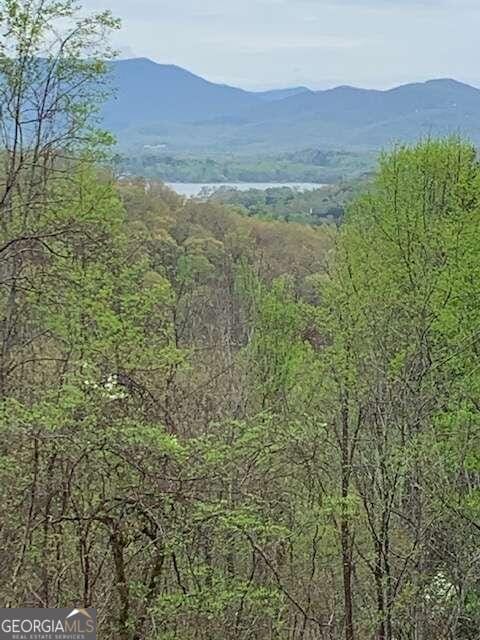 10 High Meadows Drive, Hayesville, NC, 28904