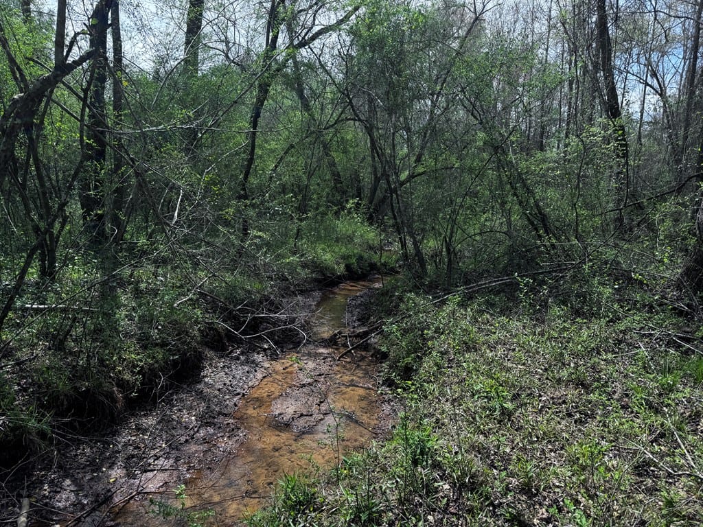 337+/- ac Ga Highway 0137, Buena Vista, GA, 31803